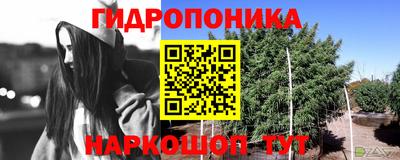 крисы Апрелевка