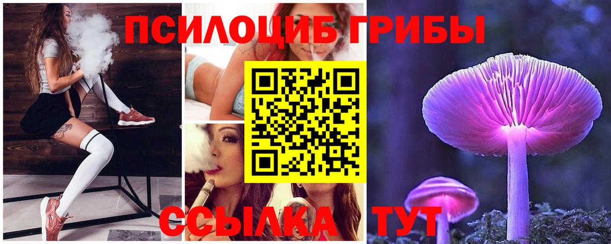 Псилоцибиновые грибы ЛСД Ачинск